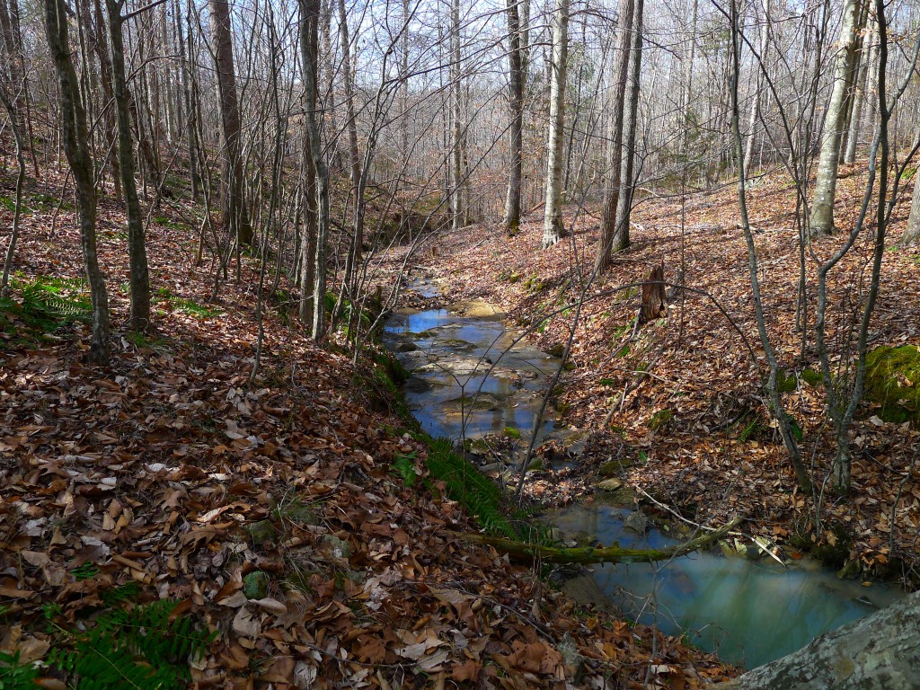 beautiful creek!