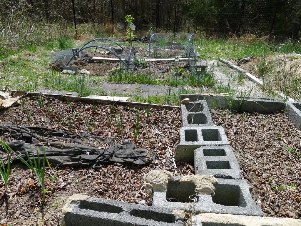 the state of the beds, early April 2014